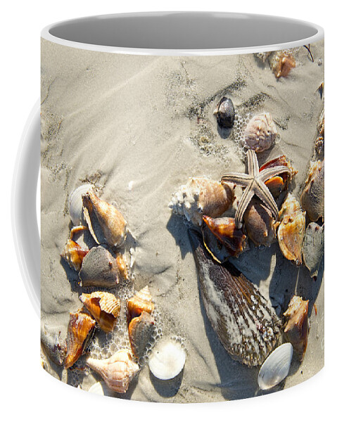 Starfish Coffee Mug featuring the photograph Starfish with five points on Sea Shells by David Arment