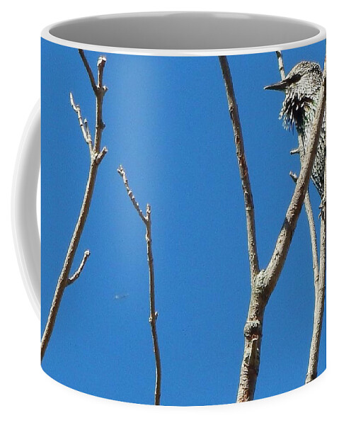  Coffee Mug featuring the photograph Starling Darling by Kimberly Woyak