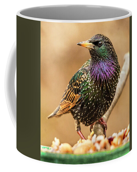 Starling Coffee Mug featuring the photograph Starling In Glorious Color by Jim Moore