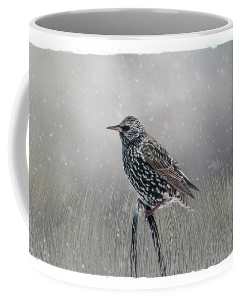 Avian Coffee Mug featuring the photograph Starling In Winter by Cathy Kovarik
