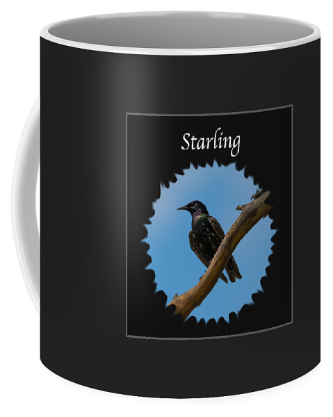 Starling Coffee Mug featuring the photograph Starling  by Holden The Moment