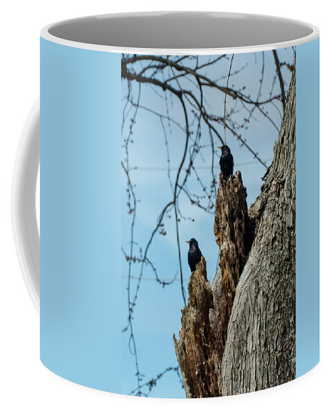 Jan Holden Coffee Mug featuring the photograph Starlings Times Two by Holden The Moment