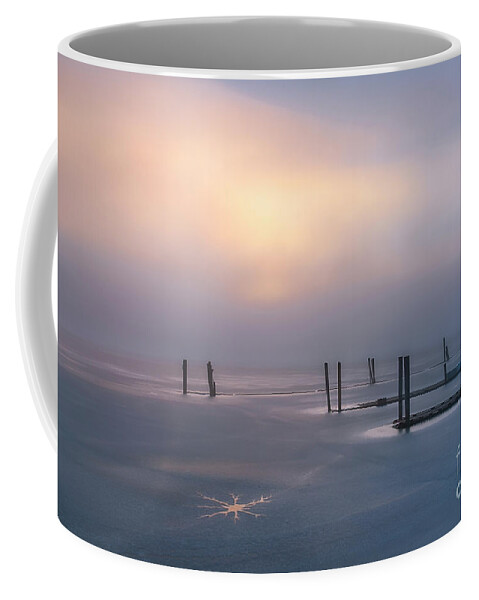 Heyburn State Park Coffee Mug featuring the photograph Stars on Ice by Idaho Scenic Images Linda Lantzy