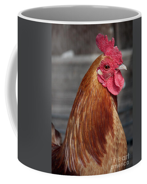 Chicken Coffee Mug featuring the photograph State Fair Rooster by Carol Groenen