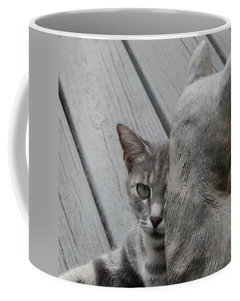 Cat Portrait Feline Pet Animal Grey Tabby Animal Photography Cat Photography Mammal Statue Coffee Mug featuring the photograph Statues by Jan Gelders