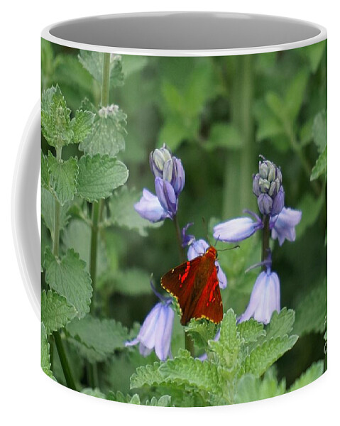 Flowers Coffee Mug featuring the photograph Stealth flyer by Merle Grenz