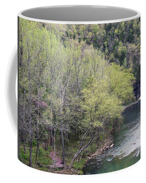 Arkansas Coffee Mug featuring the photograph Early Spring on the Buffalo. by Mary Halpin