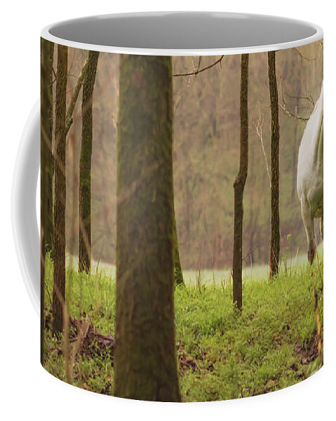 Missouri Wild Horses Coffee Mug featuring the photograph Stepping into the Wild by Holly Ross