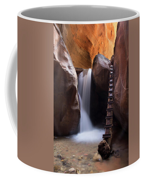 Kanarra Creek Coffee Mug featuring the photograph Stepping Up by Nicki Frates