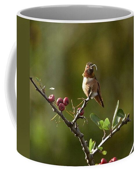 Linda Brody Coffee Mug featuring the photograph Sticking My Tongue Out At You by Linda Brody