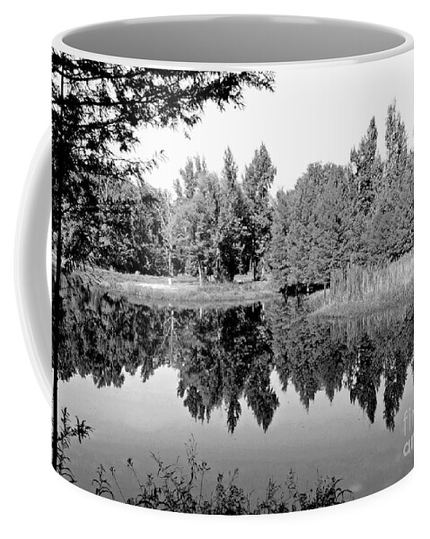 Still Coffee Mug featuring the photograph Still of the Morning by Robert ONeil