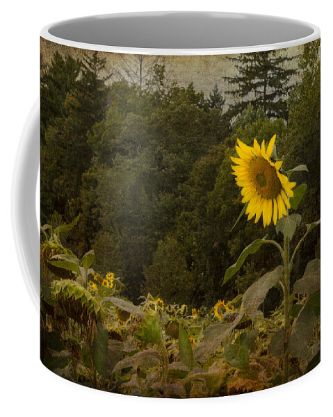 Sunflower Coffee Mug featuring the photograph Still Standing by Arlene Carmel