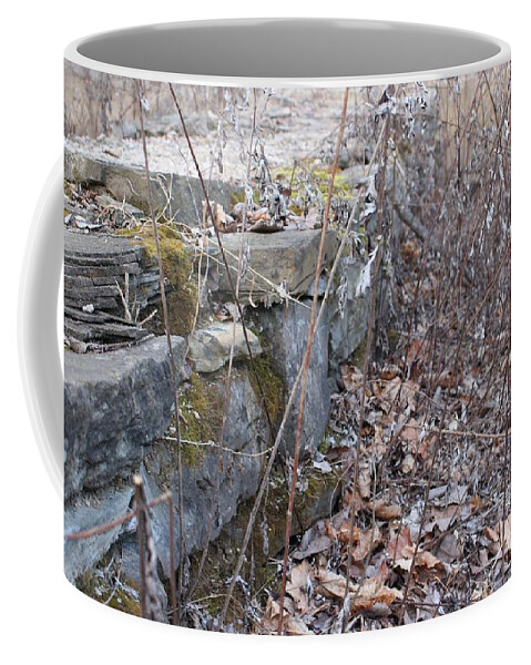 Wayne Coffee Mug featuring the photograph Stone Wall at Jackson Lock by Christopher Lotito