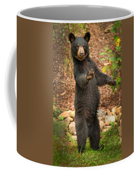 Summer Coffee Mug featuring the photograph Stop in the Name of Love by Joye Ardyn Durham
