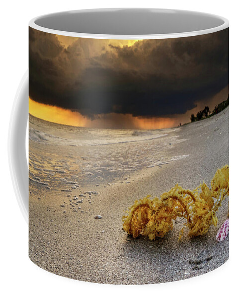 Sanibel Island Coffee Mug featuring the photograph Storm And Sea Shell On Sanibel by Greg and Chrystal Mimbs