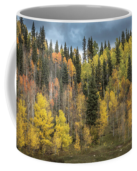 Aspens Coffee Mug featuring the photograph Stormy September by Jen Manganello