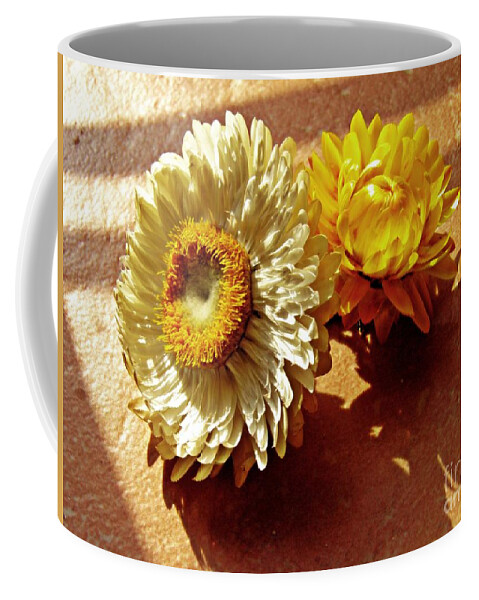 Strawflower Coffee Mug featuring the photograph Strawflowers on the Window Sill 5 by Sarah Loft
