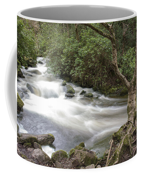Original Coffee Mug featuring the photograph Stream below Torc Waterfall Killarney National Park by WAZgriffin Digital