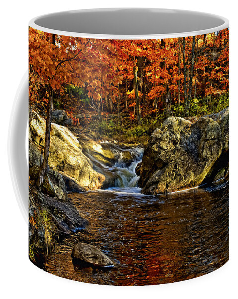 Autumn Coffee Mug featuring the photograph Stream In Autumn 58 by Mark Myhaver