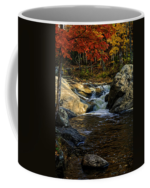 Autumn Coffee Mug featuring the photograph Stream In Autumn No.17 by Mark Myhaver