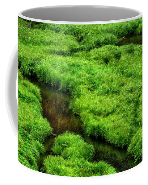 Green Coffee Mug featuring the photograph Stream near Steamboat by Peggy Dietz