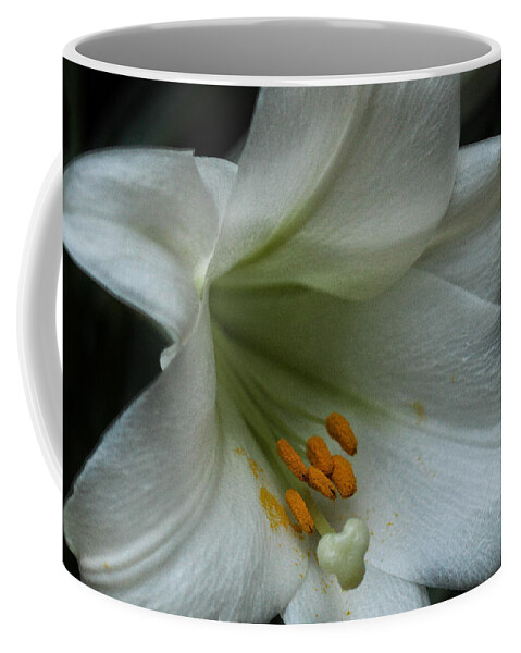 Connie Handscomb Coffee Mug featuring the photograph Assurance by Connie Handscomb