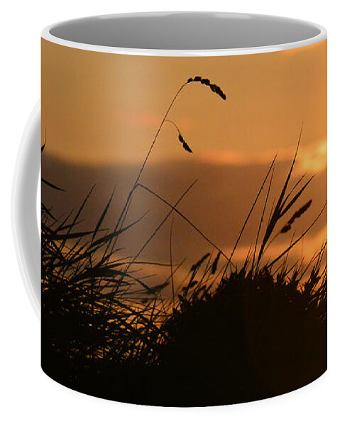 Strip Of Silhouetted Coffee Mug featuring the photograph Strip Of Silhouetted Grasses by Paul Davenport