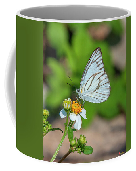 Nature Coffee Mug featuring the photograph Striped Albatross Butterfly DTHN0208 by Gerry Gantt