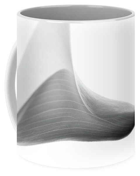 Cala Coffee Mug featuring the photograph Structure by Rebecca Cozart