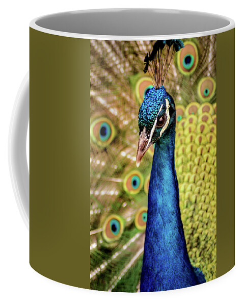 Peacock Coffee Mug featuring the photograph Strutting by Don Johnson