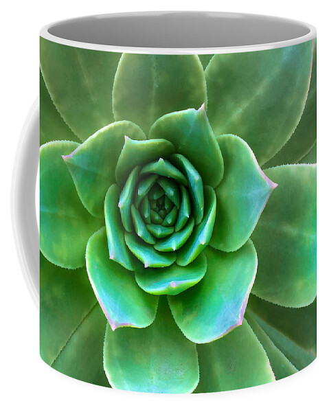 Succulent Coffee Mug featuring the photograph Succulent Closeup by Ram Vasudev