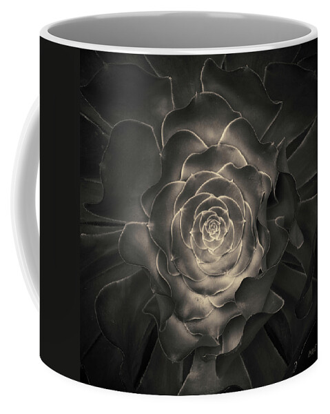 Plant Coffee Mug featuring the photograph Succulent I Toned by David Gordon