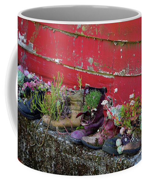 New Zealand Coffee Mug featuring the photograph Succulent Kiwi Shoes by Joanne West