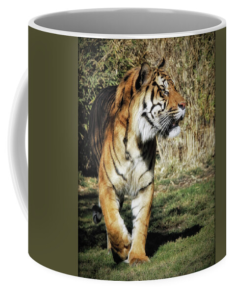 Felines Coffee Mug featuring the photograph Sumatran Tiger by Elaine Malott