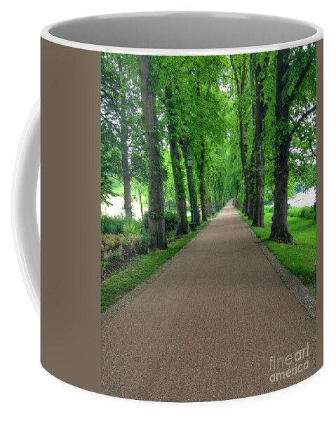 Lime Trees Coffee Mug featuring the photograph Summer At The Avenue of Limes 2 by Joan-Violet Stretch