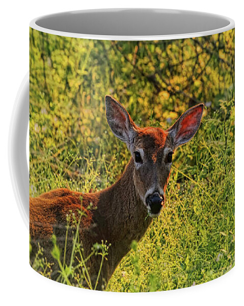 Deer Coffee Mug featuring the photograph Summer Breeze Deer by Judy Vincent