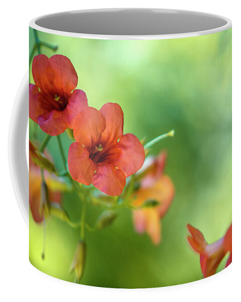 Flower Coffee Mug featuring the photograph Summer Flowers by Nailia Schwarz