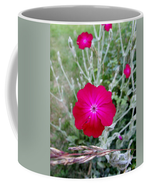 Beauty Coffee Mug featuring the photograph Summer joy by Rosita Larsson