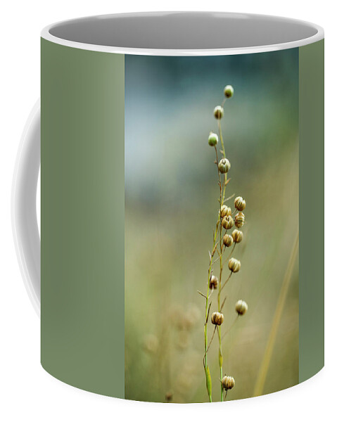 Flower Coffee Mug featuring the photograph Summer Meadow by Nailia Schwarz