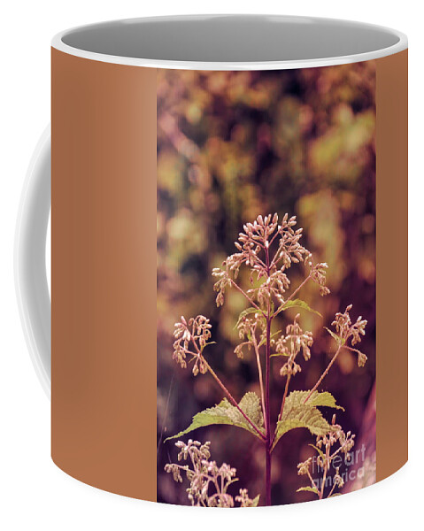 Macro Coffee Mug featuring the photograph Summer Memories by Adrian De Leon Art and Photography