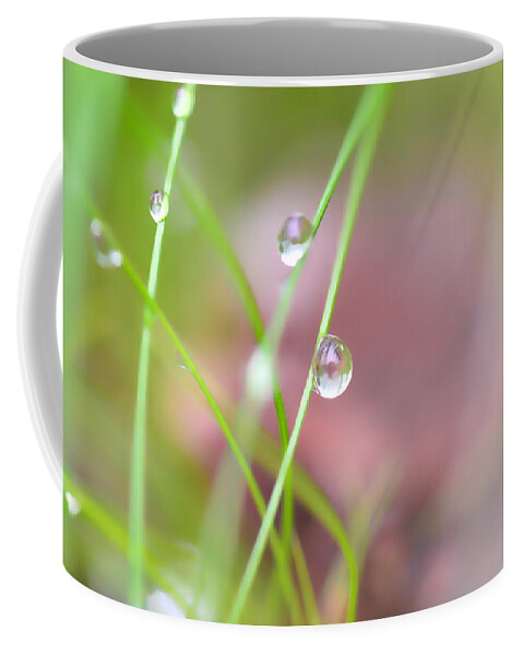 Dew Coffee Mug featuring the photograph Summer Of Dreams by Donna Blackhall