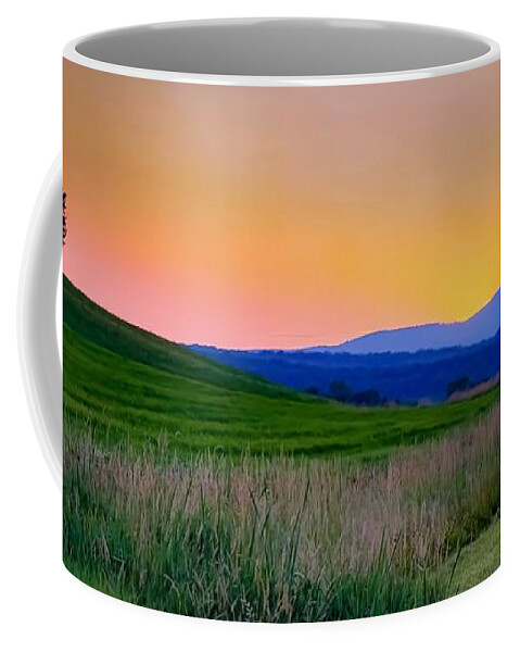  Coffee Mug featuring the photograph Summer Palette by Kendall McKernon