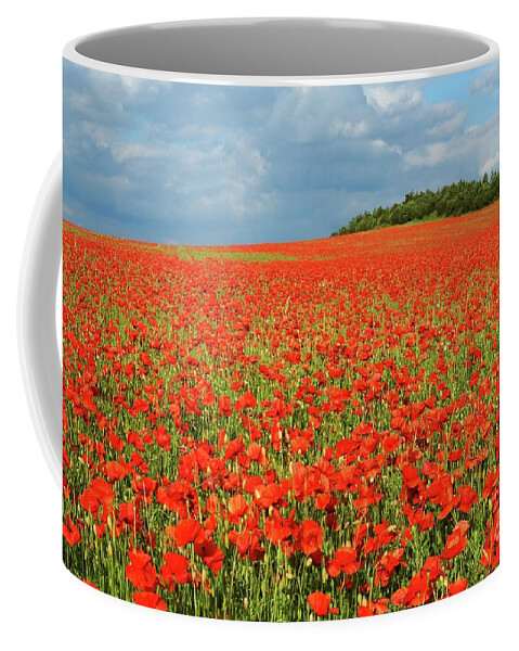 Landscape Coffee Mug featuring the photograph Summer Poppies in England by David Birchall