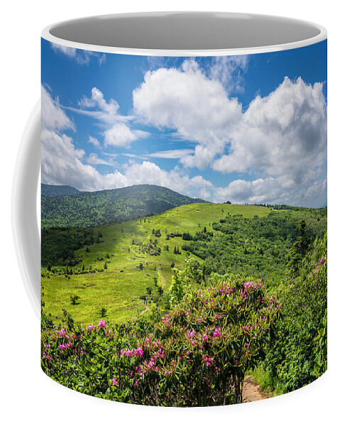 Appalachian Coffee Mug featuring the photograph Summer Roan Mountain Bloom by Serge Skiba