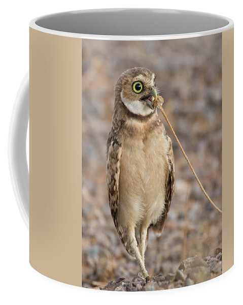Owl Coffee Mug featuring the photograph Summer Snack by Sue Cullumber