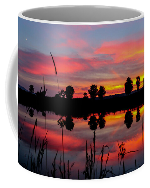Landscape Coffee Mug featuring the photograph Summer Sunset with Moon by Tim Kirchoff