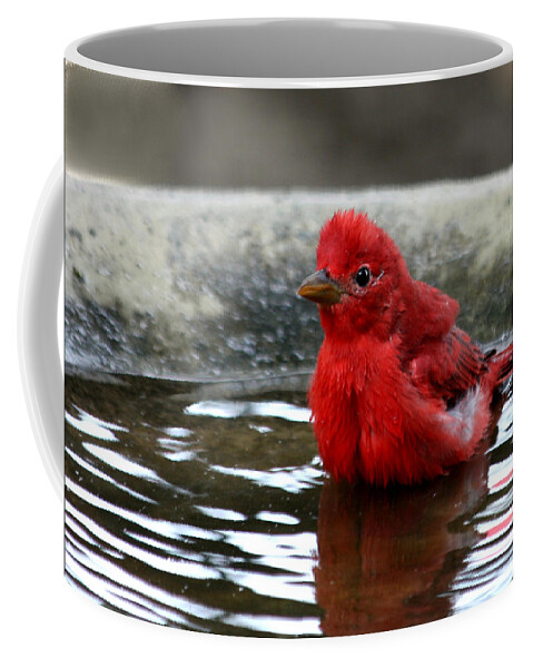 Nature Coffee Mug featuring the photograph Summer Tanager in Bird Bath by Sheila Brown