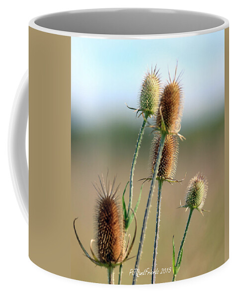 Summer Thistle Coffee Mug featuring the photograph Summer Thistle by PJQandFriends Photography