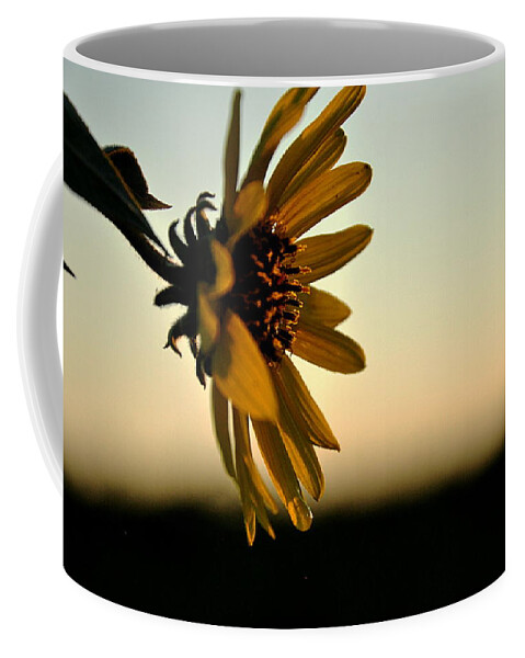 Sunflower Coffee Mug featuring the photograph Summer's End... by Thomas Gorman