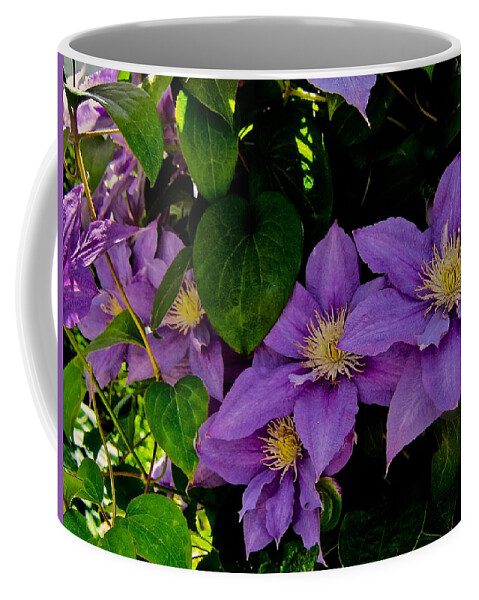 Clematis Coffee Mug featuring the photograph Summer's Gone by Elizabeth Tillar